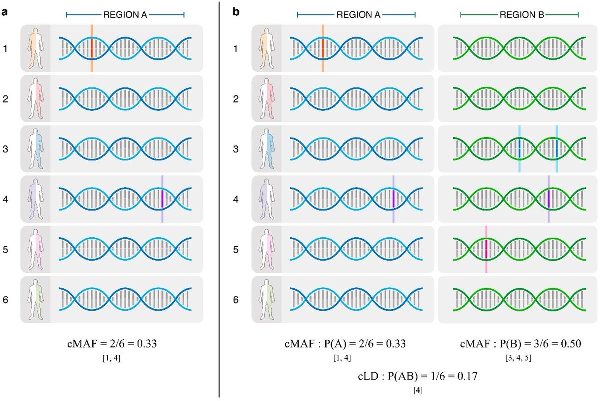 In this recent study, researchers show that cLD reveals an increased genetic association between genes in 3D chromatin interactions, a phenomenon recently reported negatively by calculating standard LD between common variants: plos.io/3tC0Lah