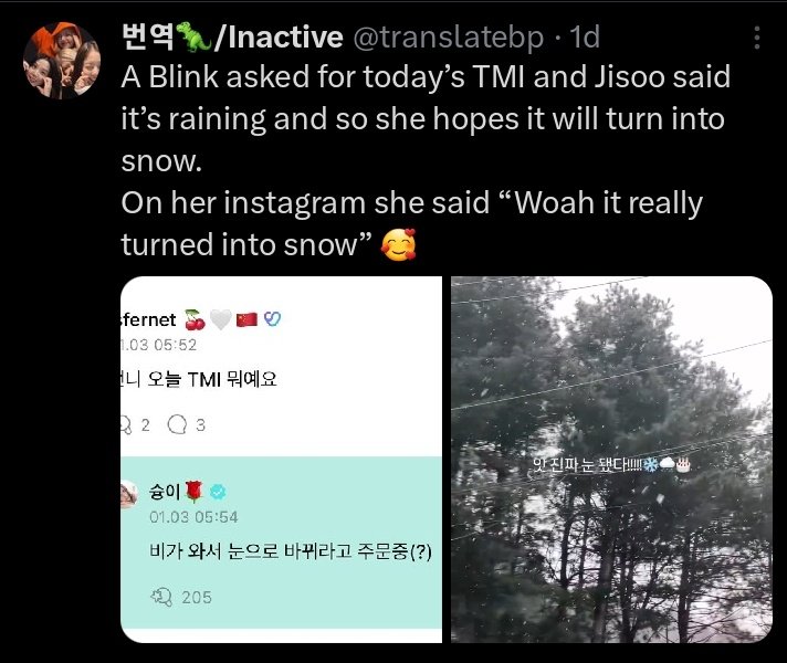 talia loops 🦗 tweet media