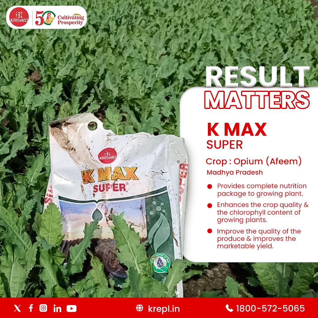 K MAX SUPER for Afeem Crop in Madhya Pradesh 

Elevate your crop game with K Max Super – the ultimate nutrition boost for thriving plants. From enhanced chlorophyll to superior crop quality, watch your yield reach new heights. 🌱✨ #KMaxSuper #CropRevolution #GrowWithConfidence