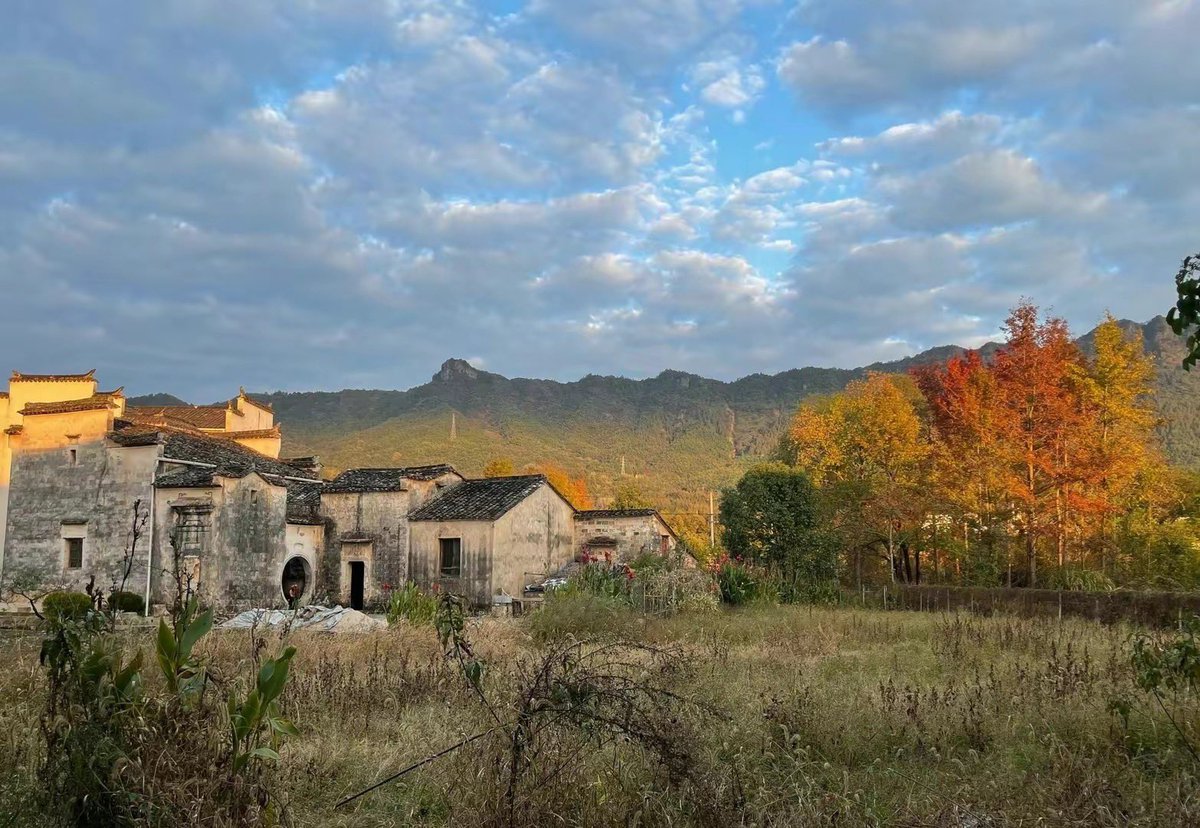 HuangshanGolf's tweet image. Harmonious hues in Huizhou, where traditional architecture dons white walls and grey tiles. Witness the enchanting transformations of the same dwelling through all four seasons. Pure beauty. #Huizhou #TraditionalArchitecture