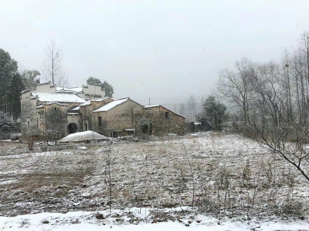 HuangshanGolf's tweet image. Harmonious hues in Huizhou, where traditional architecture dons white walls and grey tiles. Witness the enchanting transformations of the same dwelling through all four seasons. Pure beauty. #Huizhou #TraditionalArchitecture