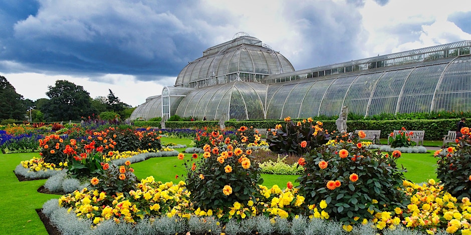 Are you a B Corp business looking for new growth opportunities? 

Would you like a private tour of one of the largest botanical gardens in the world?

Look no further. Join us at <a href="/kewgardens/">KewGardens</a> to network with like-minded people and enjoy a delicious lunch.

fountainpartnership.co.uk/about/events/9…