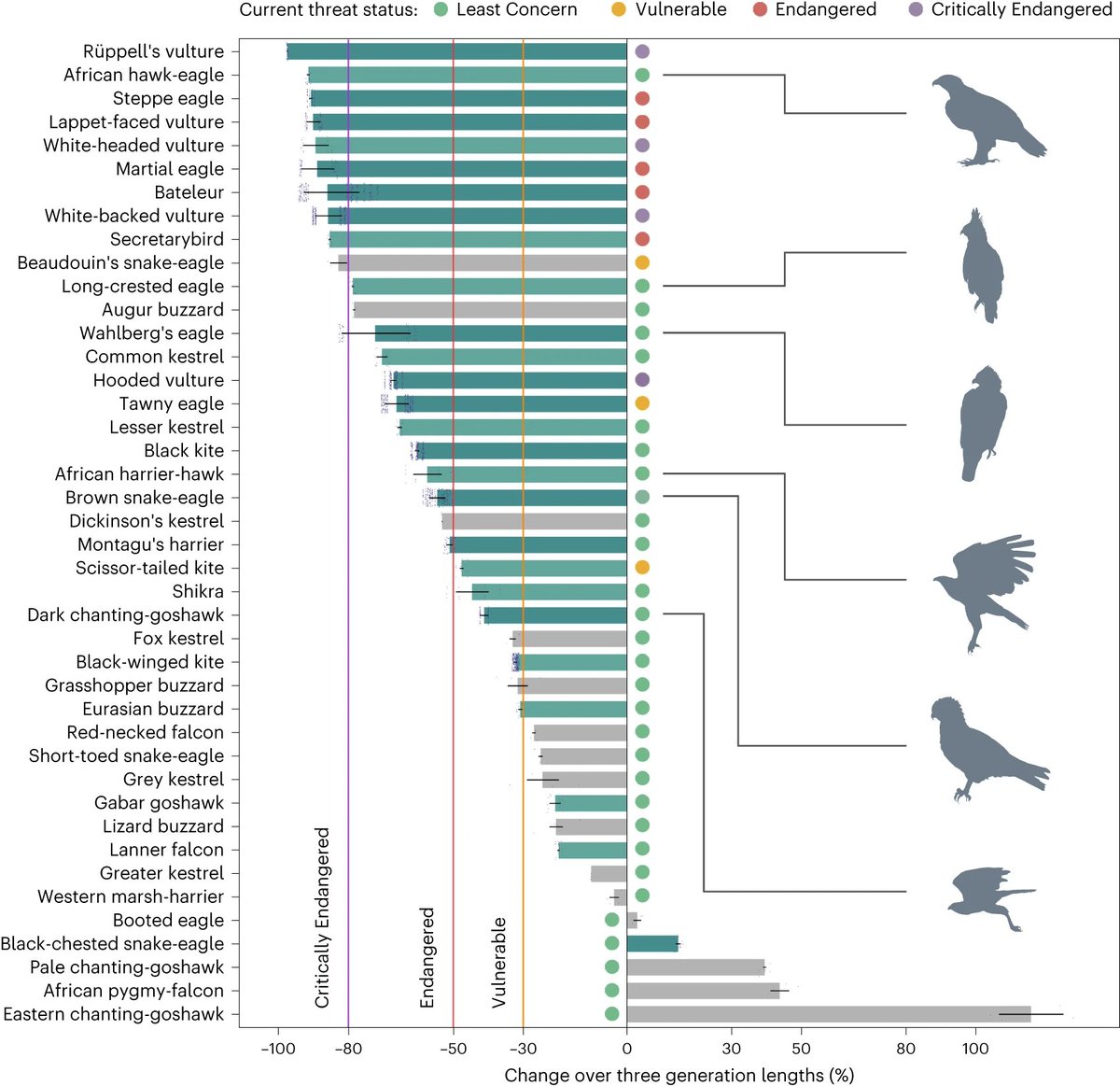 NatureEcoEvo's tweet photo. African savanna raptors show evidence of widespread population collapse and a growing dependence on protected areas https://t.co/m5scMYObxx https://t.co/CPAaLpjZid