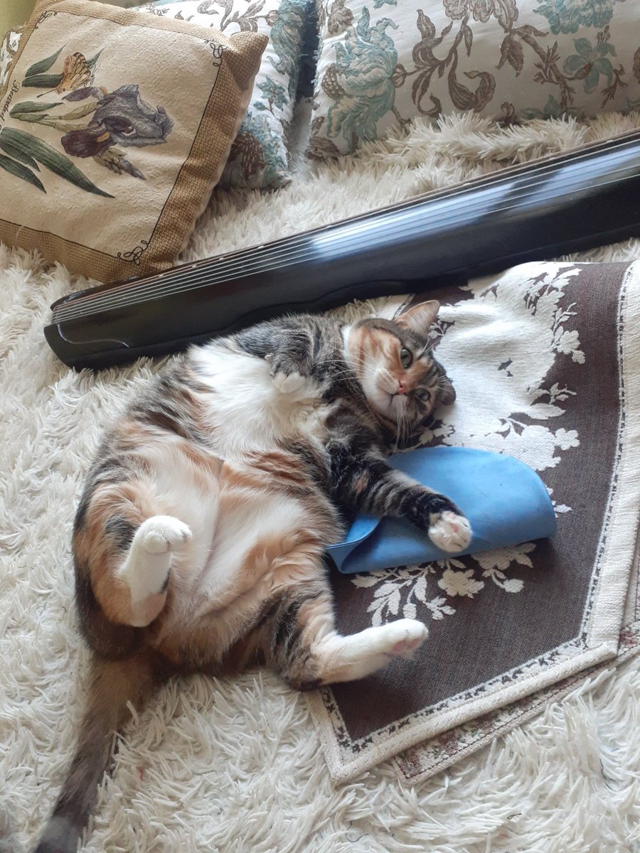 superpushistaya's tweet photo. Всем Печи в Новом году https://t.co/Or7Kl6B9Y8