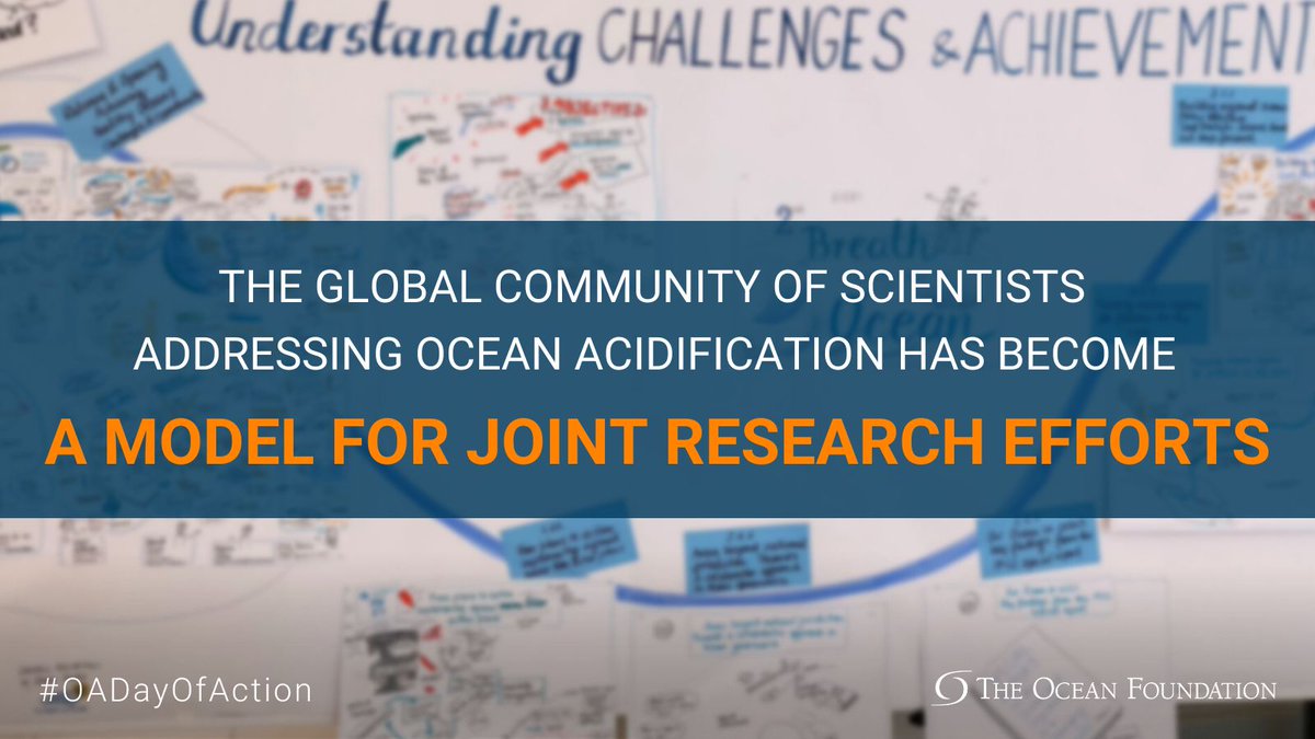 📅 8th of January is #OADayofAction @oceanfdn belong to a global community of 500+ scientists and stakeholders dedicated to understanding #OceanAcidification. @oceanfdn has helped over 35 countries start monitoring it! Together, we gain resilience. #SDG14 buff.ly/41CAuoZ