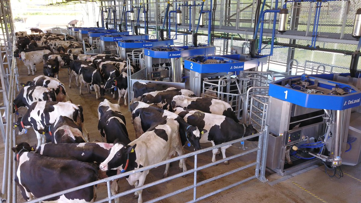 DeLaval VMS™ Batch Milking Webinar Series - Register for all three sessions here: delaval.com/en-us/learn/ev…