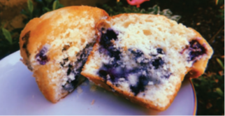 BluffCityCoffee's tweet photo. Blueberry Muffin - Get it warmed up https://t.co/fKP4DvU7gZ