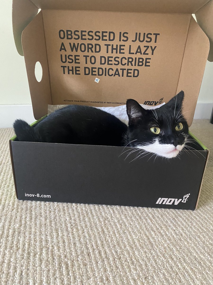 Decided to start fell running this year. Cat’s not on board @inov_8