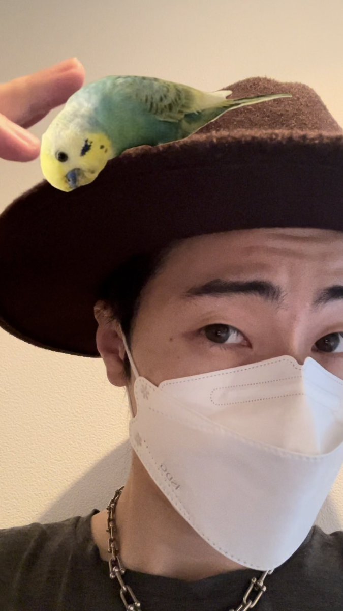 宮月優斗(ちむ様)【AXXX1S】 on X