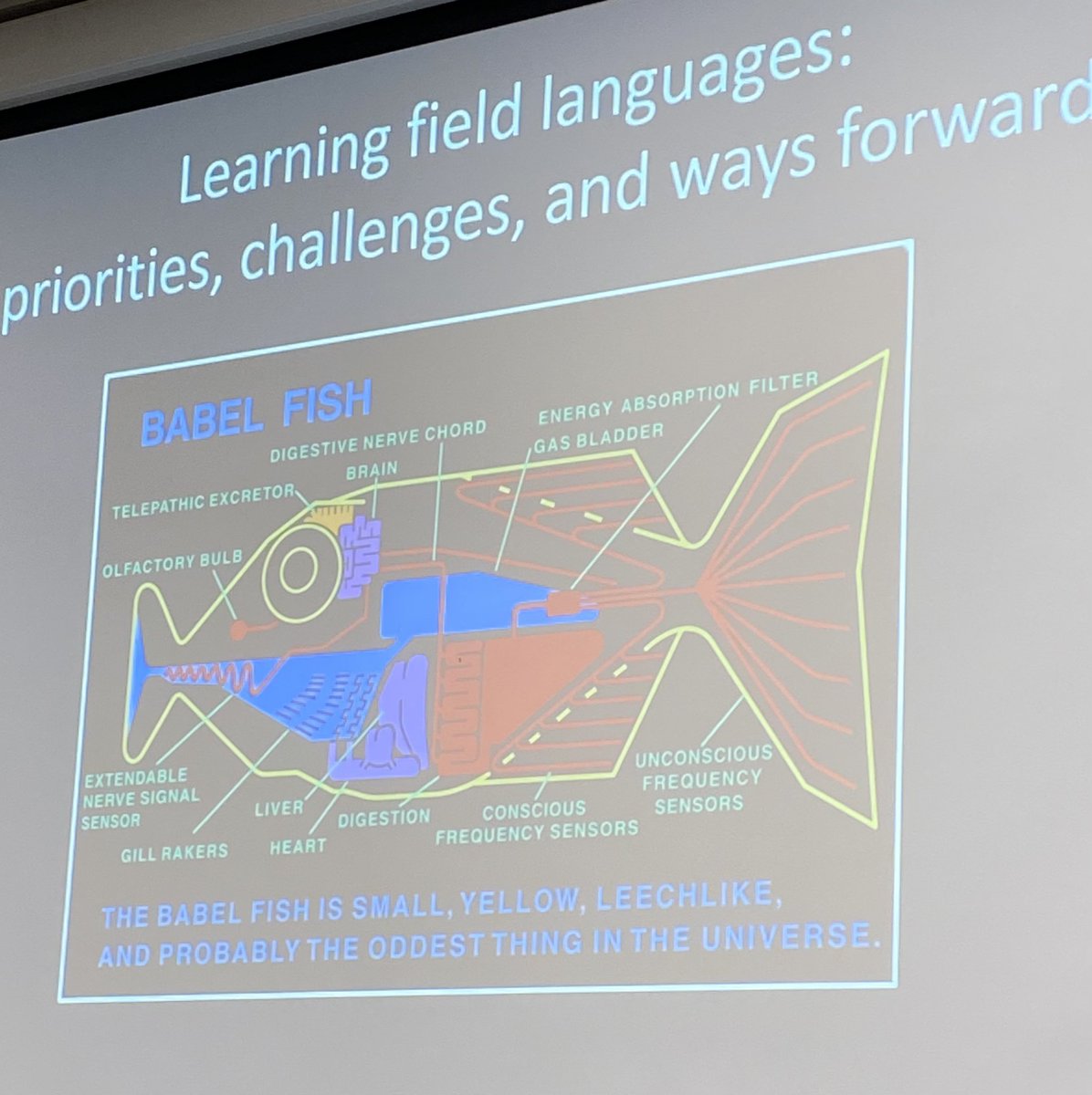 Yağmur Heffron presenting on field language skills (or the lack thereof) of western archaeologists #banea2024