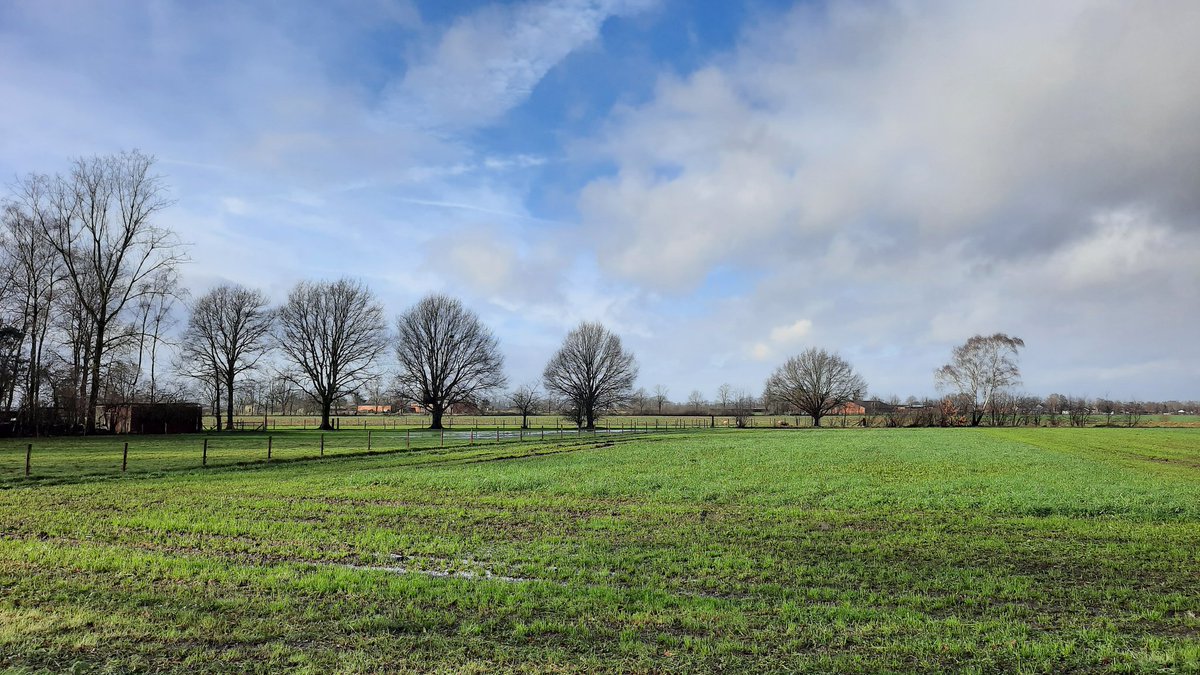 Patrick_Brebels's tweet photo. 4 januari 1974-2024 
 #vrtweer #Oudsbergen #12u55

#My50thbirthday https://t.co/NAsBsXv2po