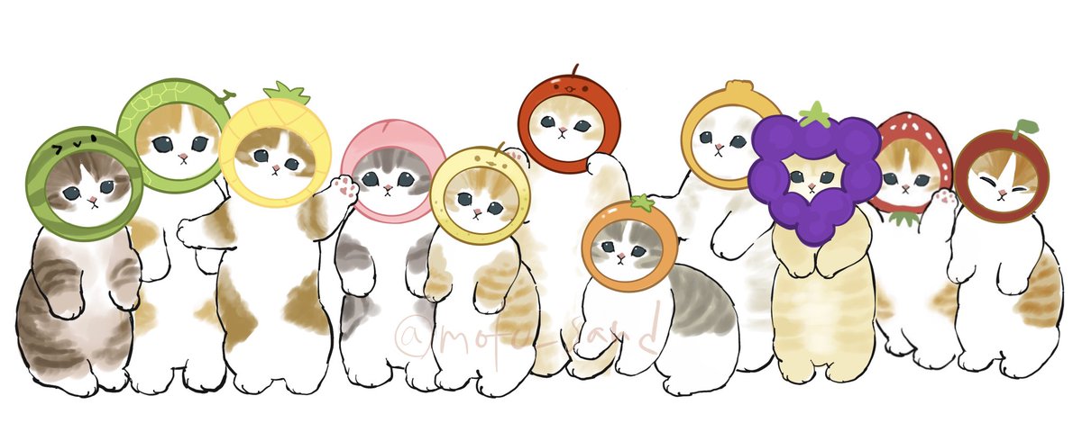no humans white background simple background animal focus cat calico fruit  illustration images