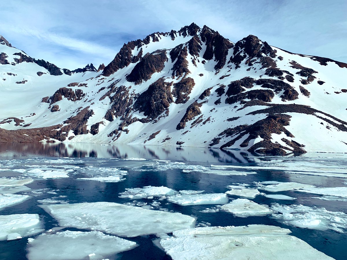 Matt Whalen tweet media