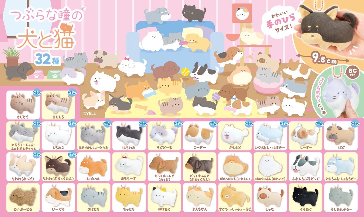 🌟3月発売予定🌟 #つぶらな瞳の犬と猫 32種 大人気の犬と猫シリーズ