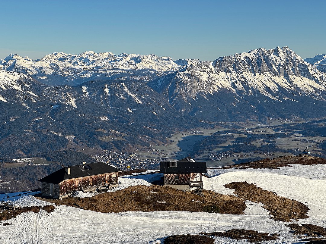 Peter Höflehner tweet media