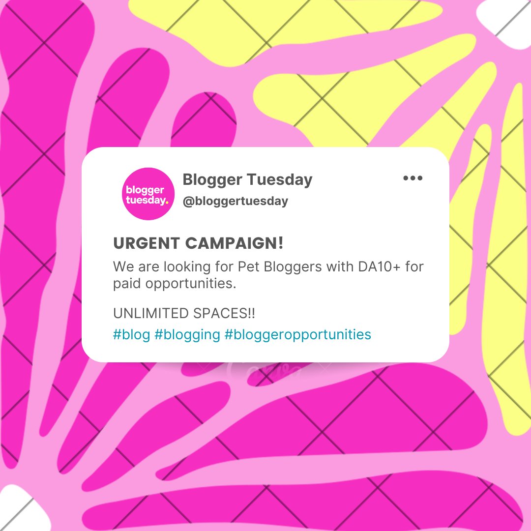 BloggerTuesday's tweet photo. ATTENTION BLOGGERS! 📢📢

We have unlimited positions available for bloggers within the Pet niche! 🐶🐕🐈

Drop your links below if you think you fit this category 👇👇

#blog #blogging #blogger #pet #petwriter #petblog #petblogger #petniche https://t.co/HNPvQSWscx