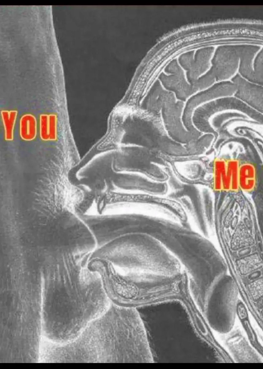 SegundoPepe's tweet image. Anyone down? Central Phx area ⬇️⬇️⬇️⬇️⬇️⬇️swallow all of it