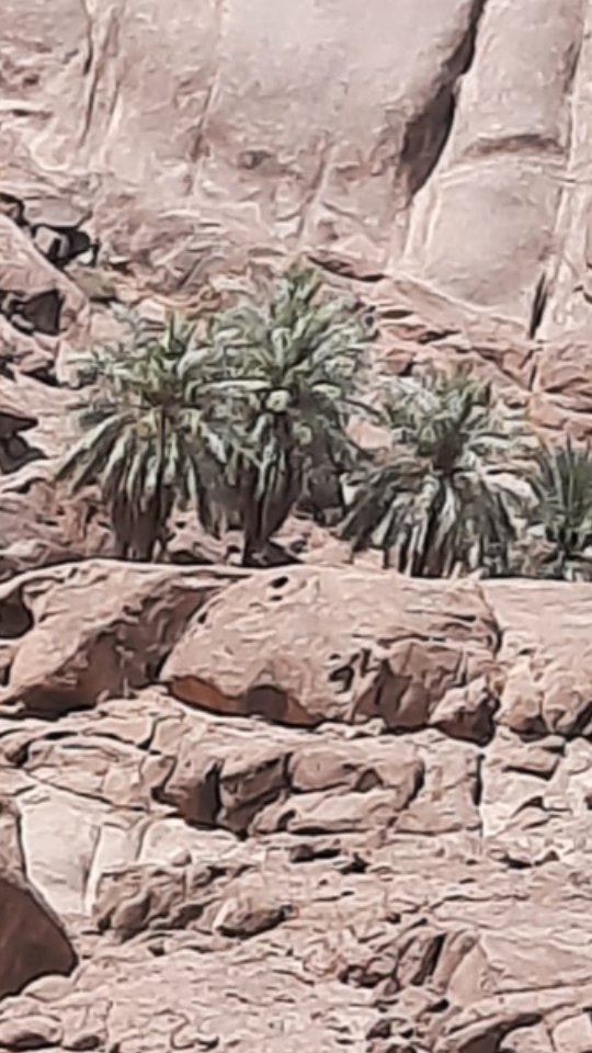 Naji_D_Alazmi's tweet photo. من أملاك الوالد..ضويحي بن سودان الهدلاني
-أم جرفان
-أم سلّم
-الشعرة
-الرصين
اوقف ثلث هذه الاملاك للمحتاجين من المسلمين في حياته وبعد وفاته 
الله يغفر له ويرحمه.. https://t.co/HvTMwYHfuA