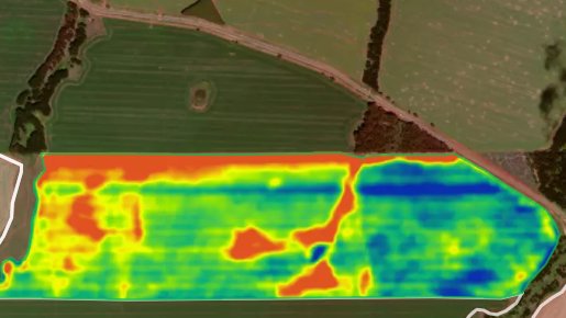 Good to have some time away to sit down and go through NDVI images, like this pea field. The field above it (and upwind) was a previous pea stubble with high levels of Ascochyta and no rain for spore release during the fallow. 
The red area is where the inoculum has blown across