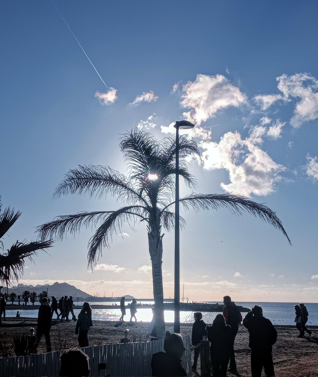 SherifDeMars's tweet photo. #Marseille : Promeneurs et palmiers de la plage #Borely , sous le soleil d'hiver 🏖️☀️ https://t.co/UXgqsGaZtP