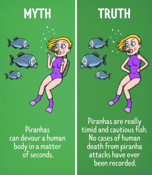 Hiddentips_'s tweet photo. https://t.co/Rz6AI3bMZ6
