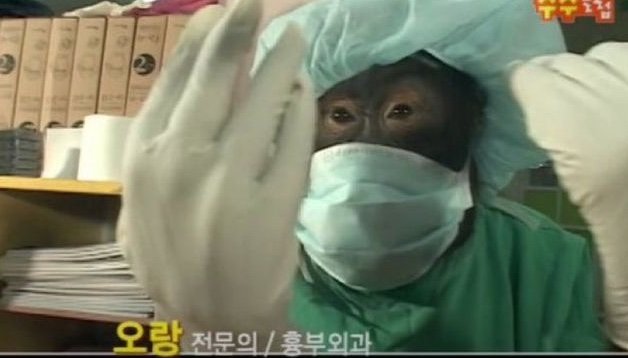 생각좀 그만해ㅠㅠㅠㅠㅠ
넌 우울증이 잇어서
생각 자체를 하면 안되는거같아
내가 그렇게 되도록
도와줄게.....