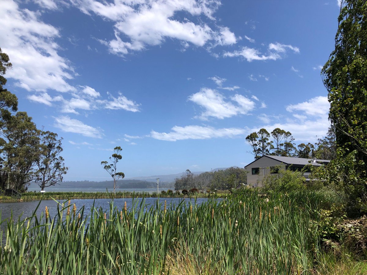 wildnaturetrail's tweet photo. Out and about at Port Arthur, #Tasmania #Australia

Follow for more exciting adventures. 🐾

#nationalpark #hiking #hike #bushwalk #bushwalking #nature #naturewalk #backpack #travel #travelling #appleisle #bushbash #trail #walk #lavender #lavenderfarm #agriculture #flower https://t.co/w9IR6H5jrj