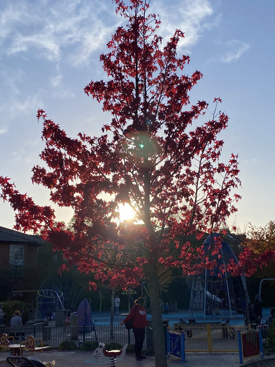 Trees4Grenfell_'s tweet image. As Sunsets on 2023 praying  #StormGerrit #Calms 🌍 #COP28UAE #ClimateActionNow #SaveOurWorld #HumanityFirst #CommunitySupport changed lives @luhc @LetOutside @ECOWARRIORSS @LGSpace @greenspacesimon @GoodLawProject @eastpengegarden @SharonRedrobe @shypixie76