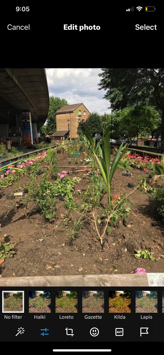 Trees4Grenfell_'s tweet image. As Sunsets on 2023 praying  #StormGerrit #Calms 🌍 #COP28UAE #ClimateActionNow #SaveOurWorld #HumanityFirst #CommunitySupport changed lives @luhc @LetOutside @ECOWARRIORSS @LGSpace @greenspacesimon @GoodLawProject @eastpengegarden @SharonRedrobe @shypixie76