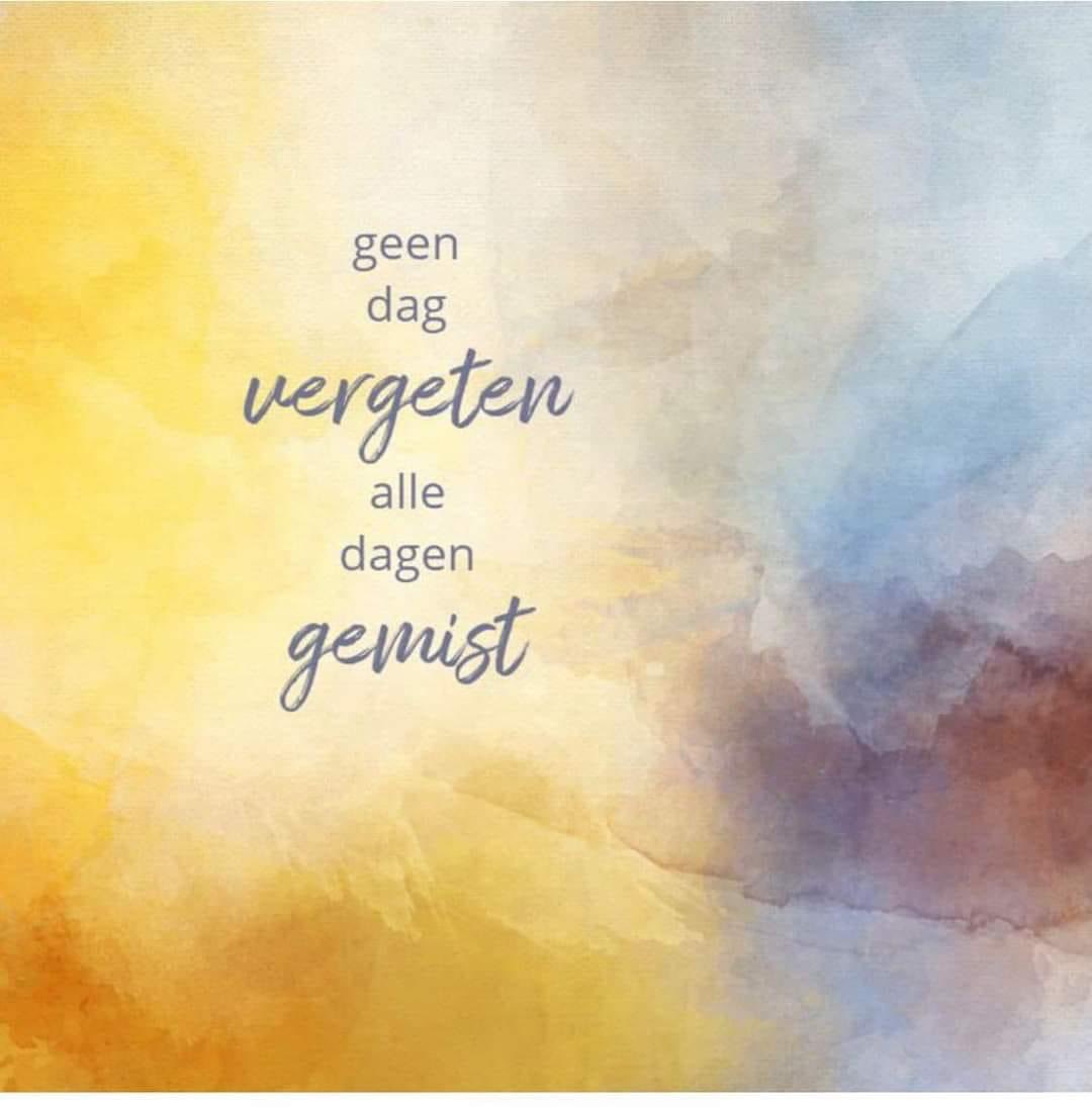 GekeGroen's tweet photo. 💚🌈🦋 https://t.co/rSkBrkMqxJ