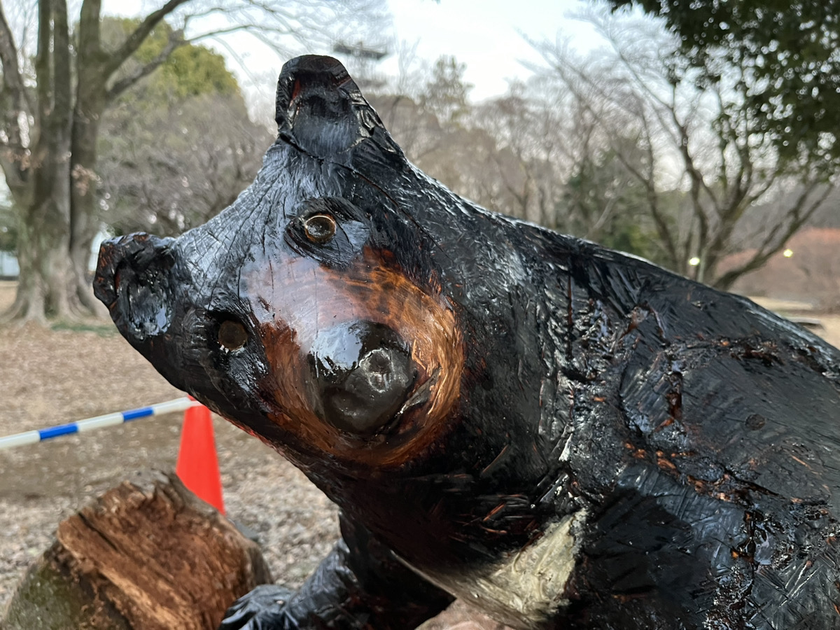 木彫り情報】 はじめまして！！ 新入りのクマ吉と申します🐻 どうぞ