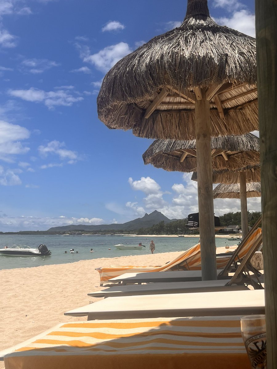 Migrating south for the winter is definitely my kind of thing 😍