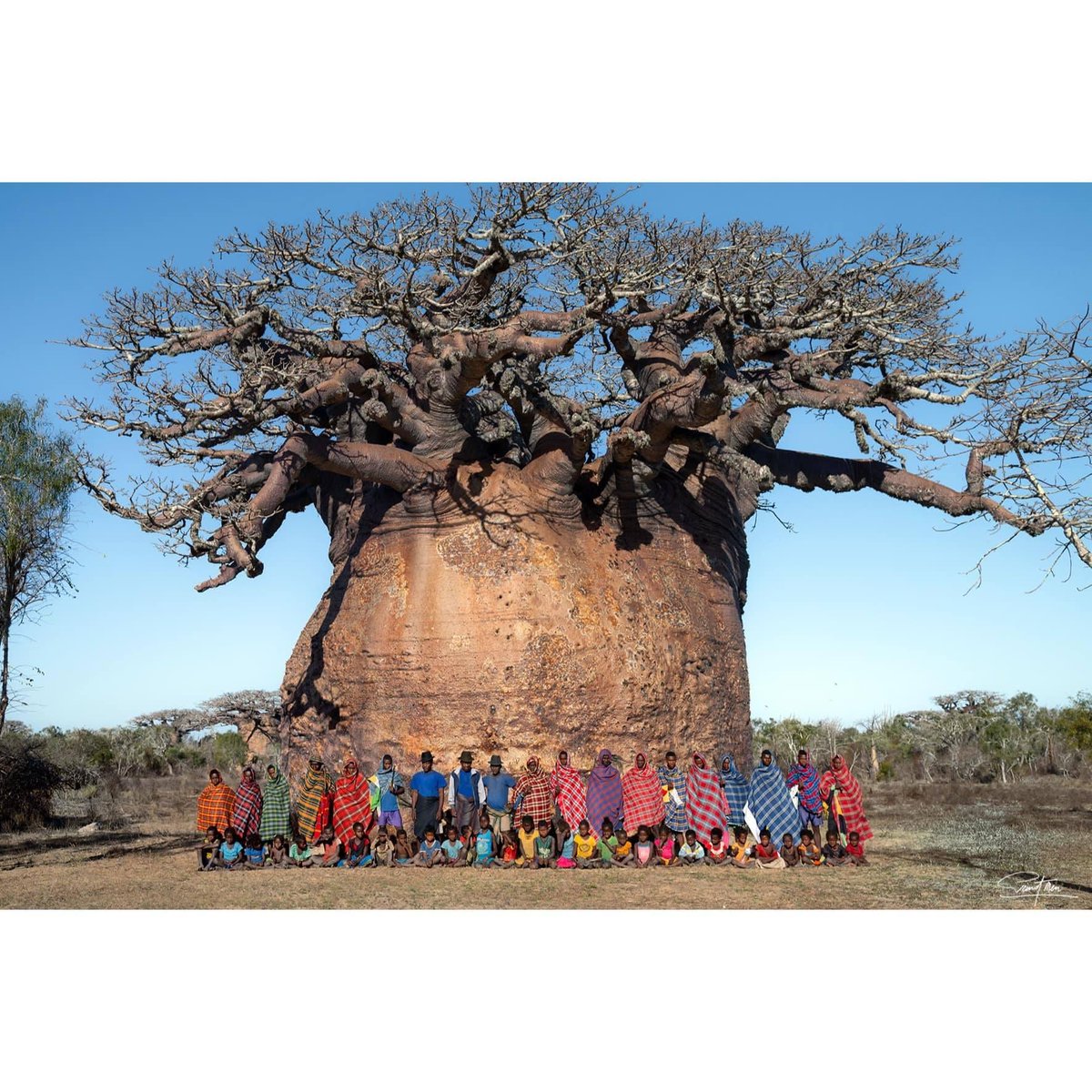 Largest baobab in Madagascar …whopping 28.82 m !