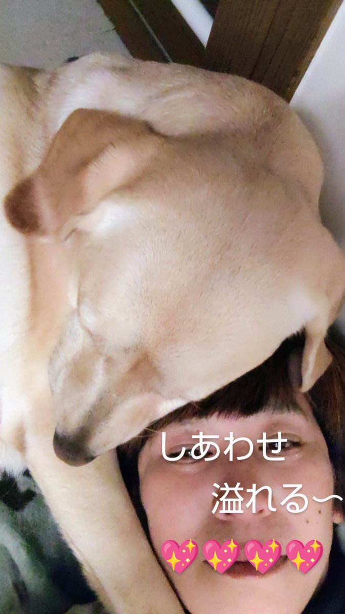 iwateaya's tweet photo. https://t.co/Ni81w9Ar9X