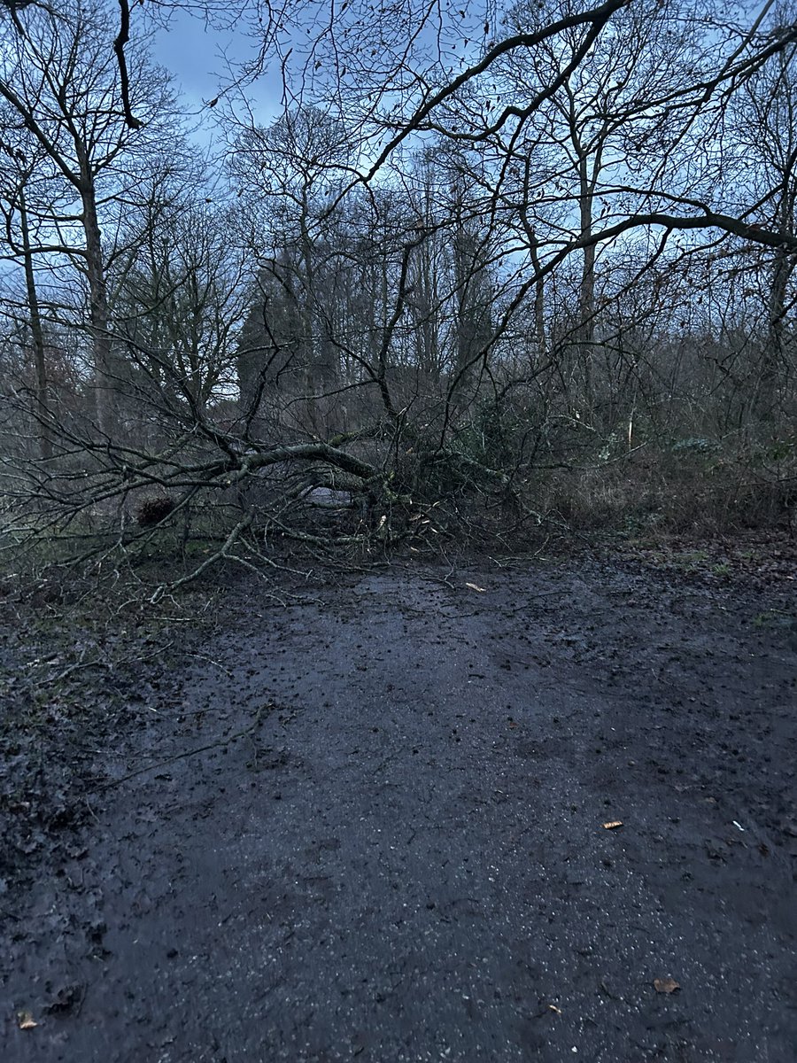Emkat1's tweet photo. @StockportMBC tree down Woodbank Park, right by the play area. https://t.co/Jpip62G5Cs