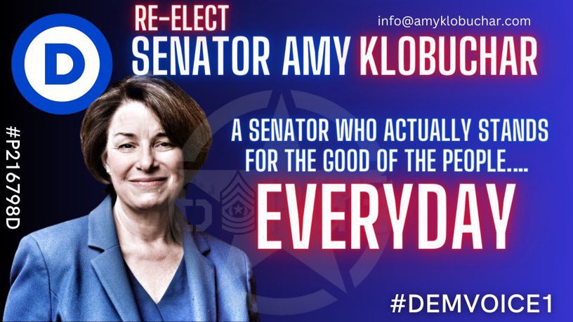 DemVoice1 Candidate Graphics tweet media