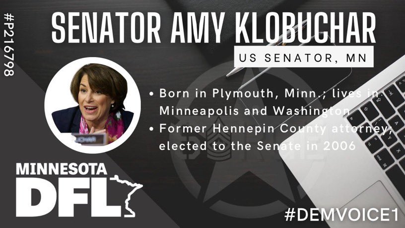 DemVoice1 Candidate Graphics tweet media