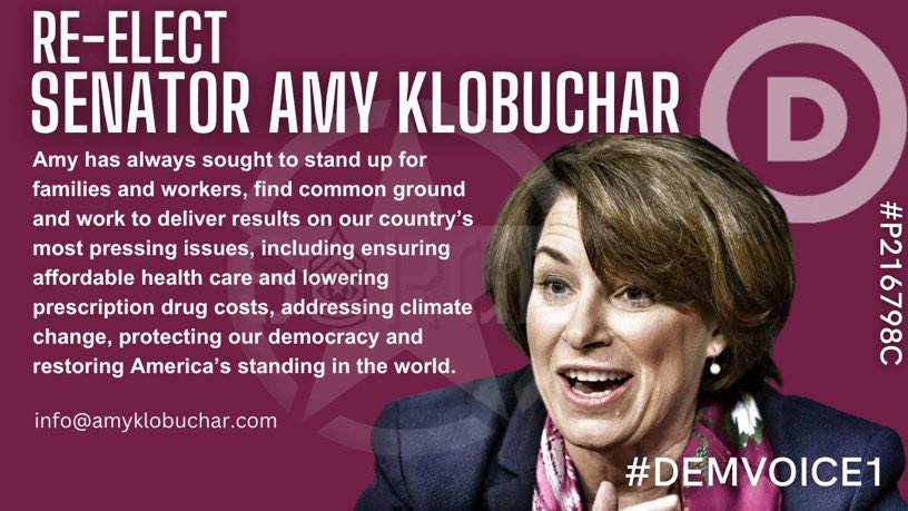 DemVoice1 Candidate Graphics tweet media