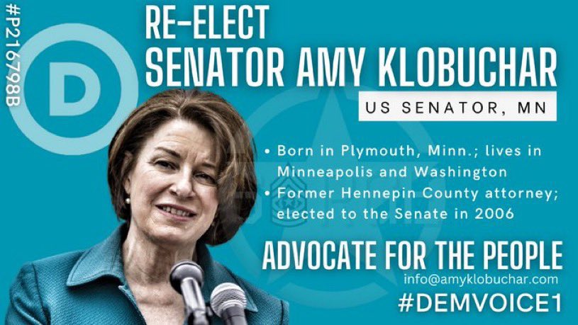 DemVoice1 Candidate Graphics tweet media
