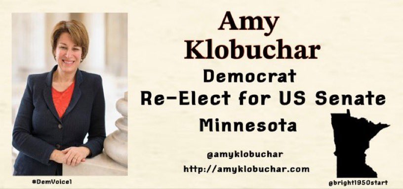 DemVoice1 Candidate Graphics tweet media