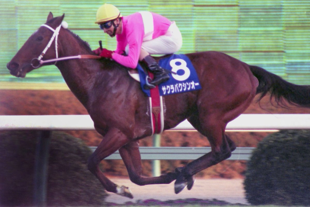 32年前の今日、1994年の最優秀短距離馬 #サクラバクシンオー が