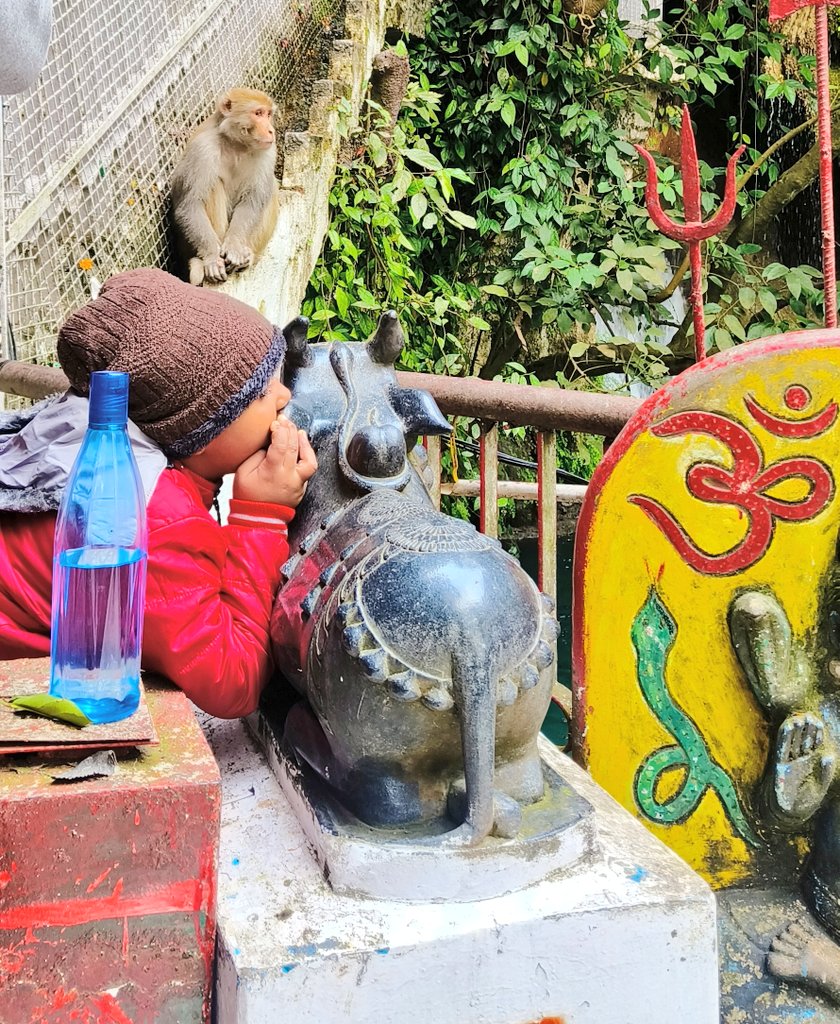 This little kid whispering something in the ears of Nandi ji was such a cute sight to behold.

This picture is from <a href="/frozen_fiesta/">Frozen Fiesta</a> and the location is Baba Dhansar.

Faith can indeed move mountains.

#advityareasi <a href="/dioreasi1/">Information & PR, Reasi</a> <a href="/vishesh_jk/">Vishesh Mahajan</a> <a href="/AdvityaReasi/">Advitya Reasi</a> <a href="/diprjk/">Information & PR, J&K</a> <a href="/jkstartups/">JKSA - JK Startups Association</a>