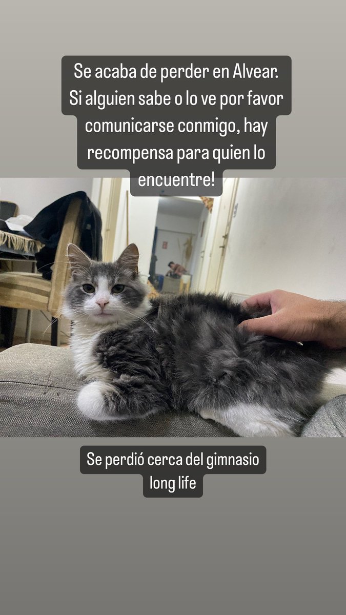 Se agradece compartir por favor, lo quiero de vuelta gente.