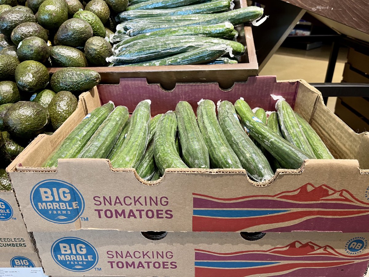 Sheldon Corbett tweet media