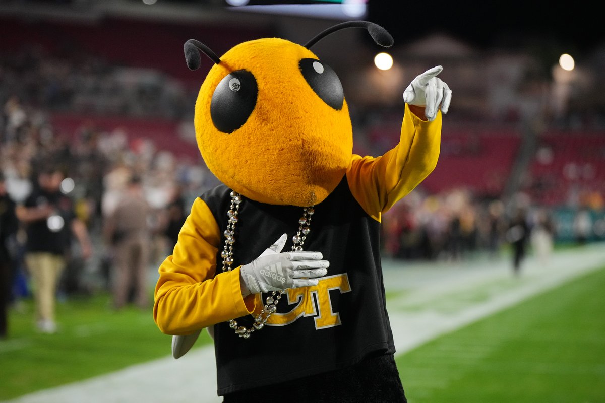 Kelly Quinlan tweet media