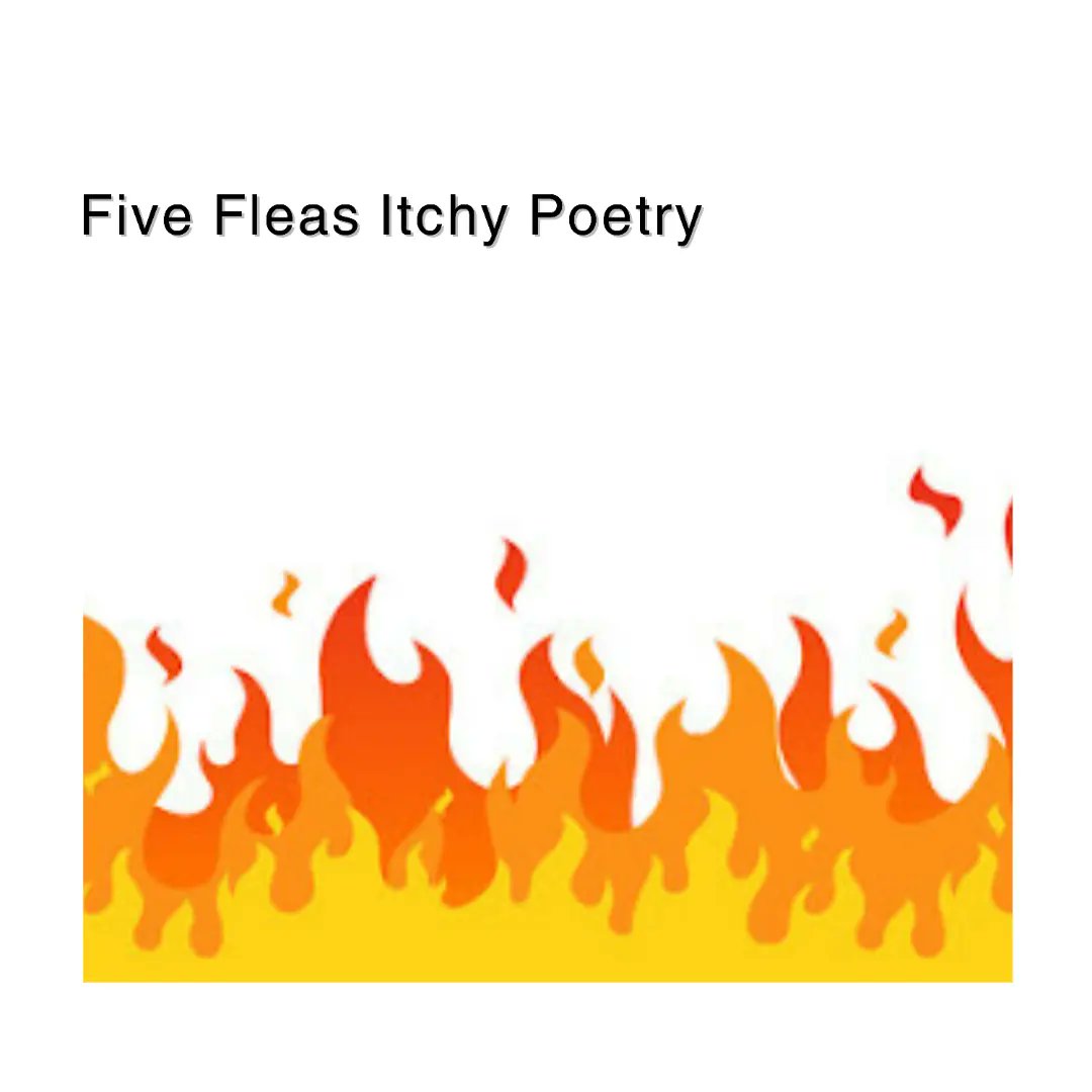 Shane Coppage tweet media