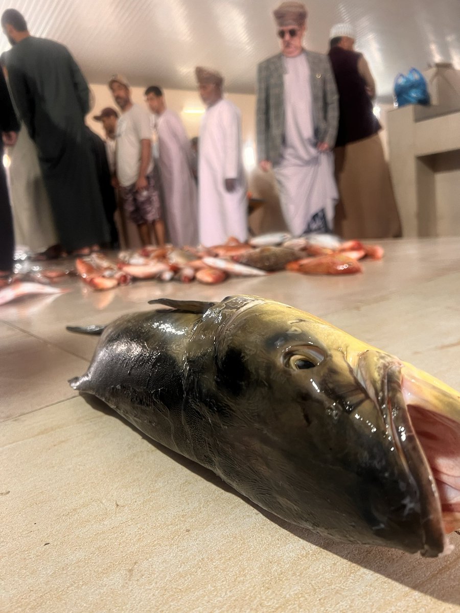 جاسم القرطوبي tweet media