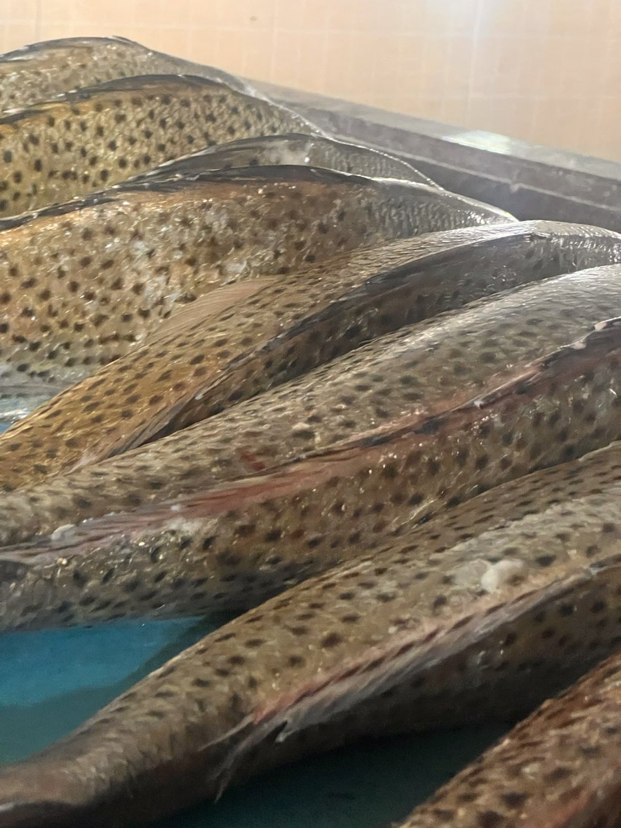 This is a thought that flows like water from the high mountain into the holes of the stones. It says, “O Jassim, just as light flows in the darkness, so hope pulses in the hearts despite the setbacks.
#شبكة_الساحل_العماني