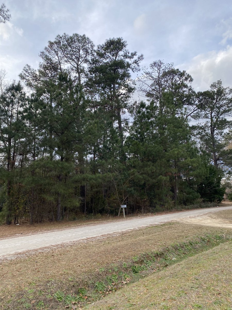 blaackdiamonnd's tweet photo. became a pilot &amp; purchased my childhood land 🥹🥹🥹🥹🥹🥹🥹🥹 i can’t get overrrrrr it https://t.co/PqIXBqEQrY