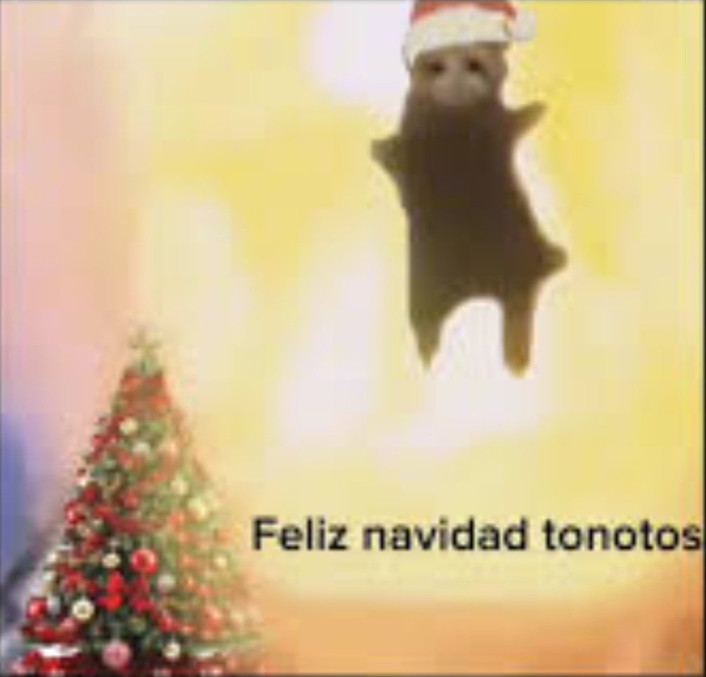 StrawBearryUwU's tweet photo. #FHS #FNAFHS
Un dibujito rápido de mis bebés acurrucandose uwu ❤️🤎
Todo chueco y defo porque olvidé que se festeja navidad
Feliz navidad atrasado🌲🌟
(sorry, es que no la celebro xd pero es bonita las dinámicas y decoraciones <3)
#Frexy #Foddy #Foxeddy
❤️🤎 https://t.co/ja3KR7d4e8